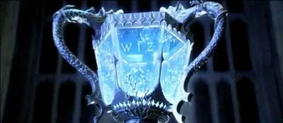 Dans le film "harry potter et la coupe de feu" combien y a-t-il d'épreuves ?