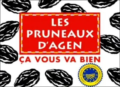 Concentration, gâchette, cible !