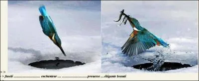 Respiration, calme, profondeur !