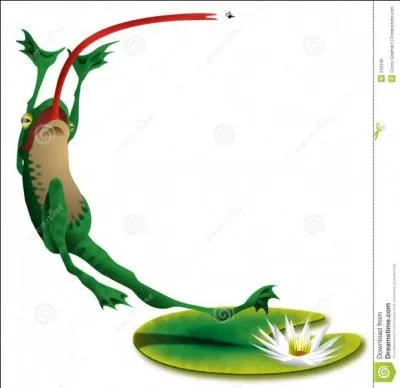 Grandes foulées, essor, fosbury ou rouleau !