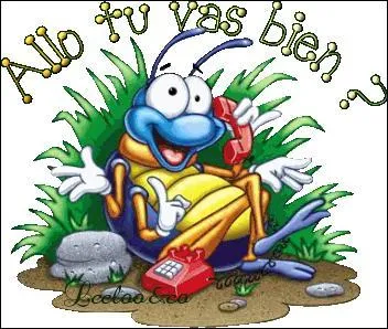 Incapacité de s'exprimer par la parole :