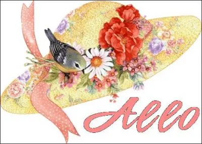 Personne dont la langue maternelle n'est pas celle du pays où il vit :