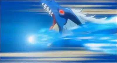 Comment se nomme cette technique de tir ?