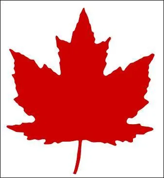 "Canidé". Remplacez ces deux lettres pour obtenir le nom d'un pays d'Amérique dont l'un des emblèmes est en photo.