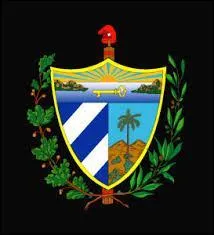 "Cube". Quelle lettre faut-il remplacer pour obtenir le nom d'une île aux armoiries nationales représentées sur la photo ?