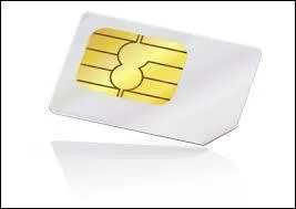 Laquelle de ces abréviations désigne une carte avec une puce mémoire installée dans les téléphones portables ?