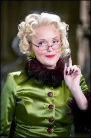 En quel animagus Rita Skeeter peut-elle se transformer ?