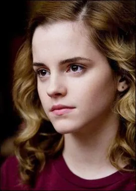 Quel métier exercent les parents d'Hermione ?