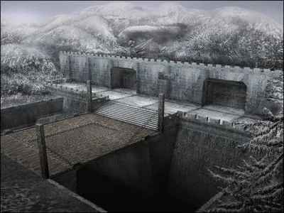 Selon votre style de jeu, il vous est possible d'acquérir des ravitaillements pour Sun Jian, ceux-là sont protégés par...