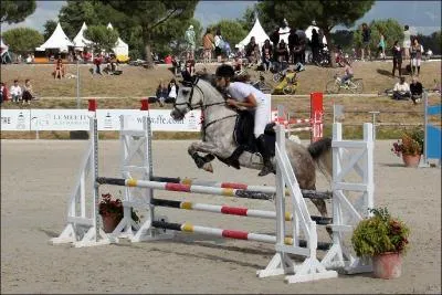 Comment voit-on si un cheval dort ?