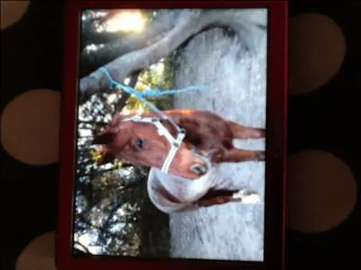 Qu'est une transition descendante ?