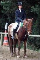 Quelle est la longueur d'une carrière de dressage ?