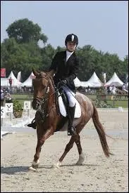 Quelle est la particularité de la robe "bai" ?