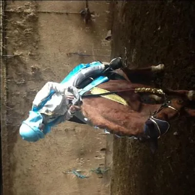 Quelle est la bonne expression pour décrire un saut ?