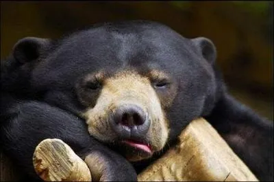 Adjectif que vous devez utiliser dès maintenant !