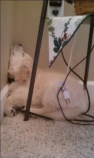 Architecture grecque, mais sobre dans l'ordre !