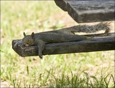 Embarcation de pêcheur de morue !