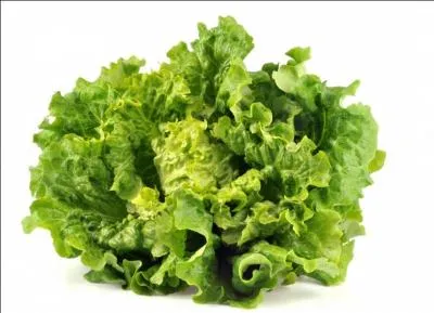 Quel ingrédient entre dans la composition de la recette originelle de la salade niçoise ?