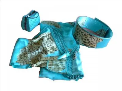 Comment trouvez-vous ces accessoires ?