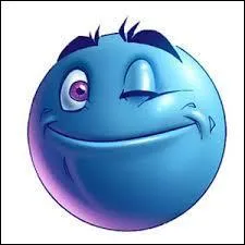 Vous vous êtes débrouillés comme ....