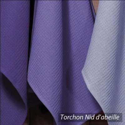 Que voyez-vous sur l'image ?