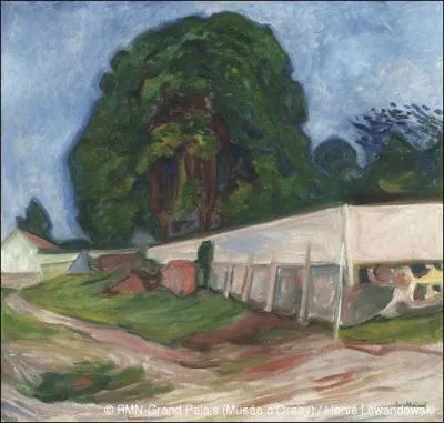 Qui a peint "Nuit d'été à Aagaardstrand"