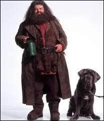 Comment s'appelle le chien de Hagrid dans "Harry Potter" ?