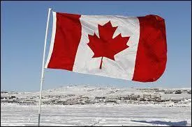 A quel pays appartient ce drapeau ?