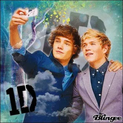 Comment appelle-t-on les fans de One Direction ?