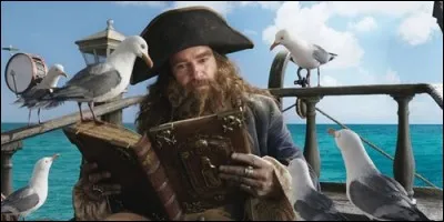 Quel est le pouvoir de Steak Barbare ?