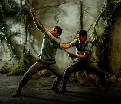 Que fait Thomas quand il voit que Minho et Alby (qui s'est fait piquer par un griffeur) vont être coincés à l'intérieur du labyrinthe ?