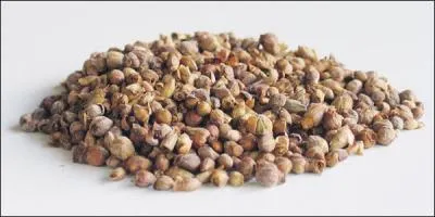 Les médecins prescrivent un antihistaminique, mais à quoi sert-il ?