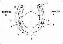 Comment s'appelle la partie n°6 ?