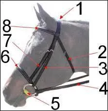 Comment s'appelle la partie n°5 ?