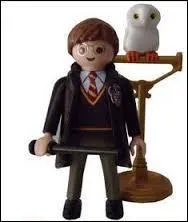 Ce beau sorcier s'appelle :