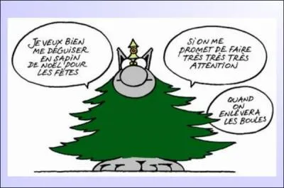 ''Je veux bien me déguiser en sapin de Noël pour les fêtes si on me promet de faire très très très attention quand on enlèvera ---------------------------.''