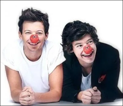 Quelle est la bromance entre Harry et Louis ?