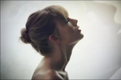 Taylor Swift a-t-elle écrit une chanson pour lui ? Si oui, laquelle ?