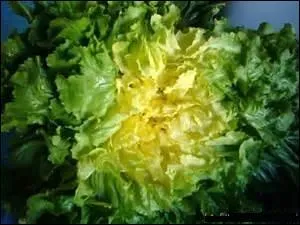 Une salade croquante.