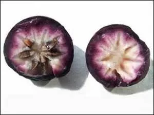 Ce fruit venu des Caraïbes est rafraîchissant.