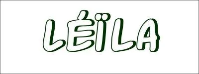 Il a chanté Leila (et les chasseurs), qui est-il ?