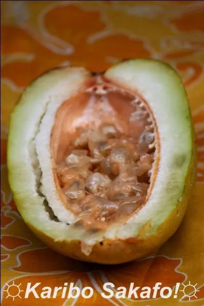 Quel est le nom de cette grenadille géante ?