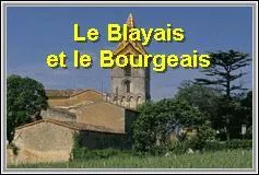 Les vins côtes-de-blaye sont seulement des vins blancs.