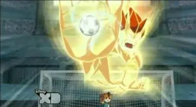 Comment se nomme cette technique de gardien de but ?