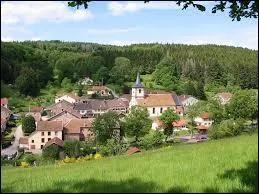 Nous partons à la découverte de Senones. Ville lorraine, dans la vallée du Rabodeau, elle se situe dans le département ...