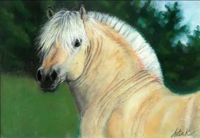 Quelle est cette race ?