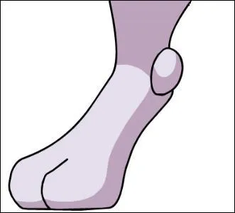 À quel Pokémon cette patte appartient-elle ?