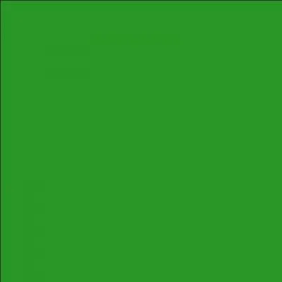 De quelle couleur est son tatouage ?