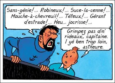 J'espère que vous n'aurez pas « pété une coche » au point de « sacrer » contre l'auteur sur la fin de ce quiz. 
De quelle origine sont les mots entre guillemets ?