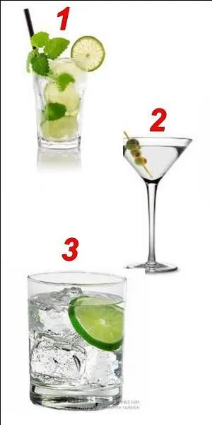 Sur quelle image peut-on voir une vodka Martini ?